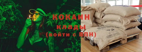 дурь Бородино