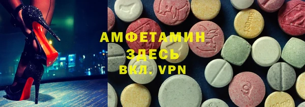 дурь Бородино